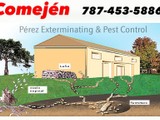 Fumigacion Eliminacion del Comejen / Pest Control