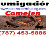 Fumigacion Apartamentos y residencias