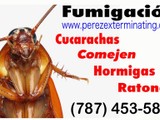 Te Mudas? Fumiga antes de establecerte!!! Llamanos