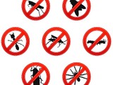 Fumigacion Apartamentos y residencias