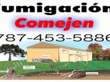 Fumigacion erradicacion de comejen