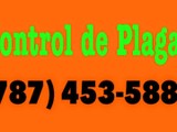 Certificacion para Bancos / Fumigacion