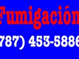 Fumigacion Apartamentos y Residencias