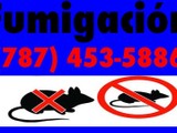 Fumigacion Cucarachas, Comejen, Ratones, Hormigas