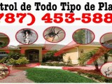 Fumigacion Apartamentos y Residencias