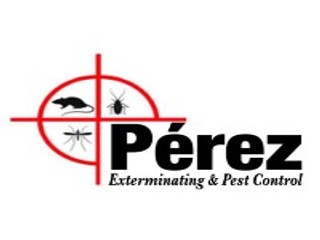 Fumigacion residencial 