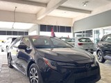 El Economico toyota corolla