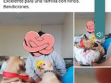 Adopción gratis