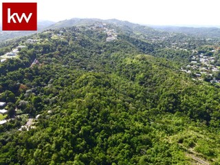 Finca en Bo. Quebrada Grande
