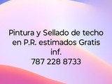 Pintura de casa P.R 787 228 8733
