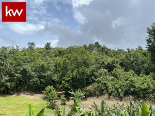 Finca en Bo. Pugnado Afuera