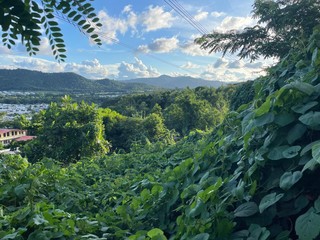 ESTANCIAS DE BAIROA- Finca
