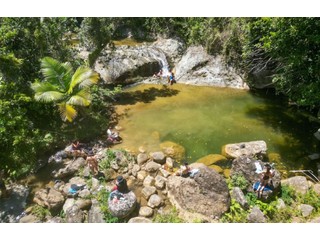 Finca 176 Cuerdas $1,700,000