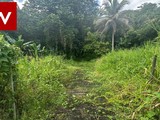 Terreno en Urb. Hacienda Del Lago