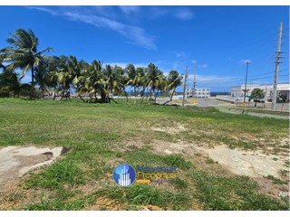 Hatillo Bo Carrizales