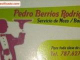 Mozo/bartender