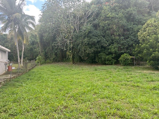 Hatillo Bo. Campo Alegre