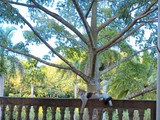 Vivienda en el Campo