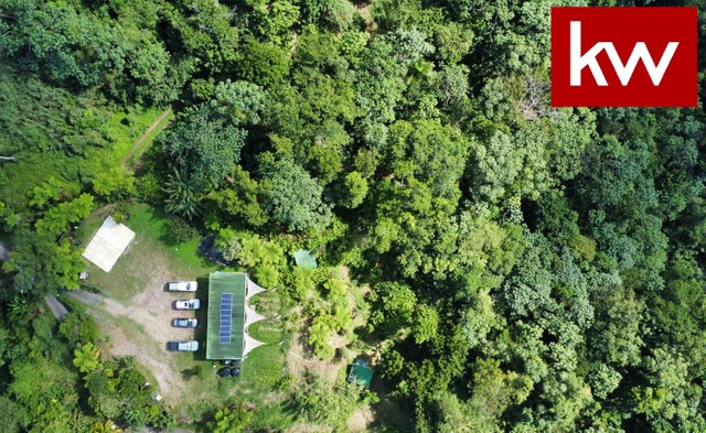 Bo. Anones, Finca en Las Marias