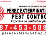 Servicios de fumigación 
