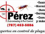 Fumigación cucarachas 