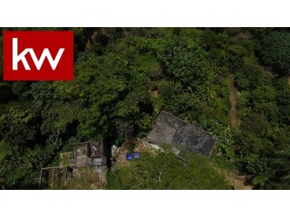 Bo. Tetuan, Finca en Utuado