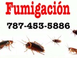 Fumigaciones Cucarachas 