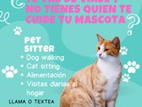 Dog Cat sitter 