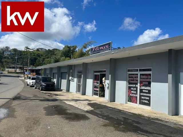 Bo. Honduras, Local Comercial