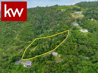 Bo. Borinquen, Terreno en Caguas
