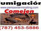 Fumigador / Exterminación plagas