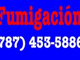 Fumigación residencial 