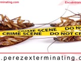 Servicios Exterminador 