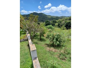 Finca en Venta en Santa Catalina