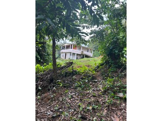 Utuado Bo. Vivi Abajo