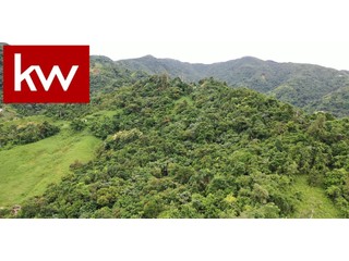 Bo. San Salvador, Terreno en Caguas