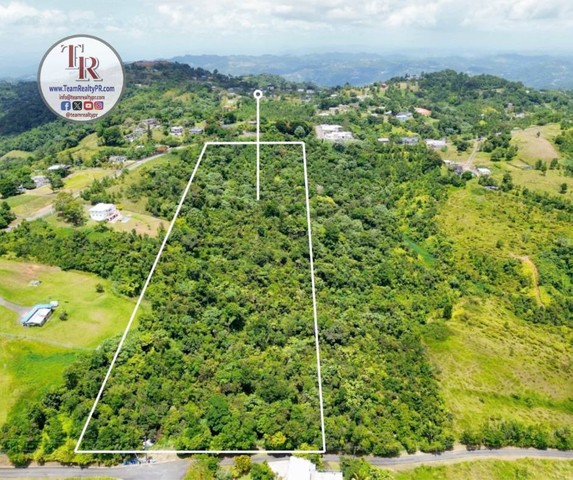 FINCA de 8 cuerdas (31,443 m2)
