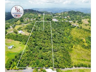 FINCA de 8 cuerdas (31,443 m2)