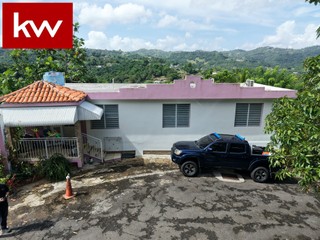 Bo. Alamo, Casa en Trujillo Alto