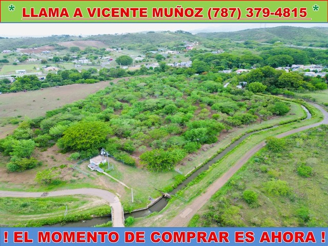 RIO CANAS ABAJO -FINCA DE 5 CUERD...
