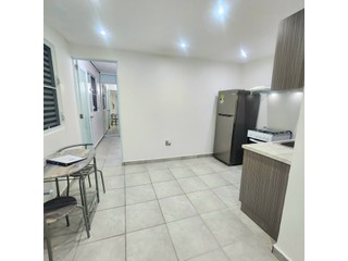 Se Renta Apt de 1 Habitacion
