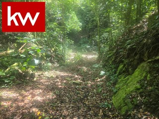 Lot in Ponce
