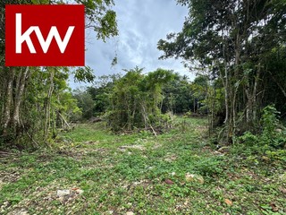Bo. Berrocal, Finca en Hatillo