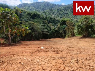 Bo. Sonadora, Finca en Guaynabo