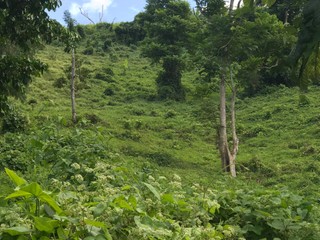 Finca de 9,264.947 en Caguas