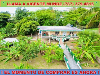 ALMACIGO ALTO * CASA DE CAMPO *