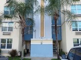 Cond. Alondra
