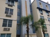 Cond. Alondra