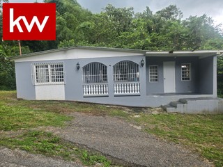 Bo. Pellejas, Casa en Adjuntas