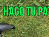 MANTENIMIENTO DE AREAS VERDES